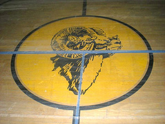 The Taylor Center Rams logo
